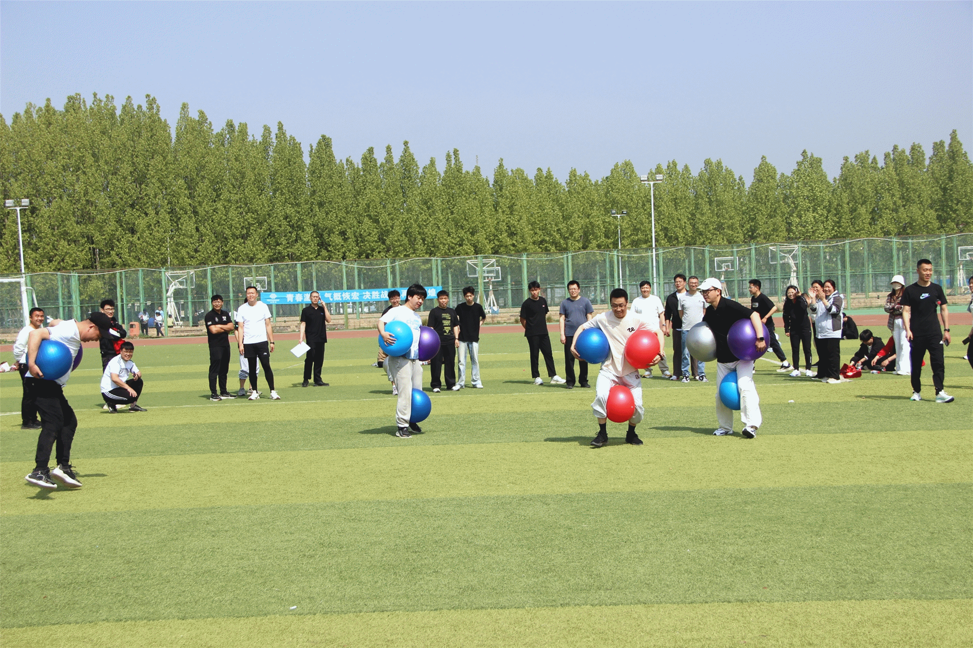 企鹅集合.gif